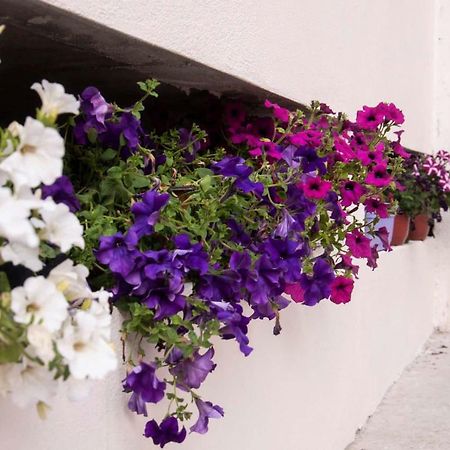 Apartments Ada Mostar Dış mekan fotoğraf